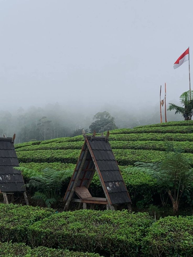 Offroad perkebunan teh Wayang Windu